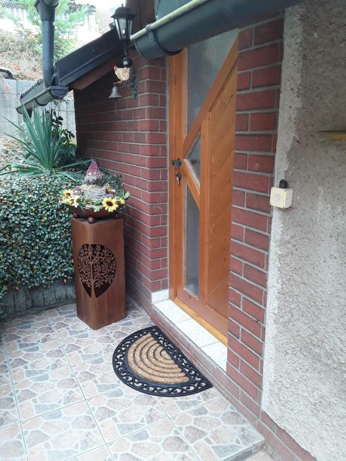 Appartement Haus Jahn à Rohrbach  Extérieur photo